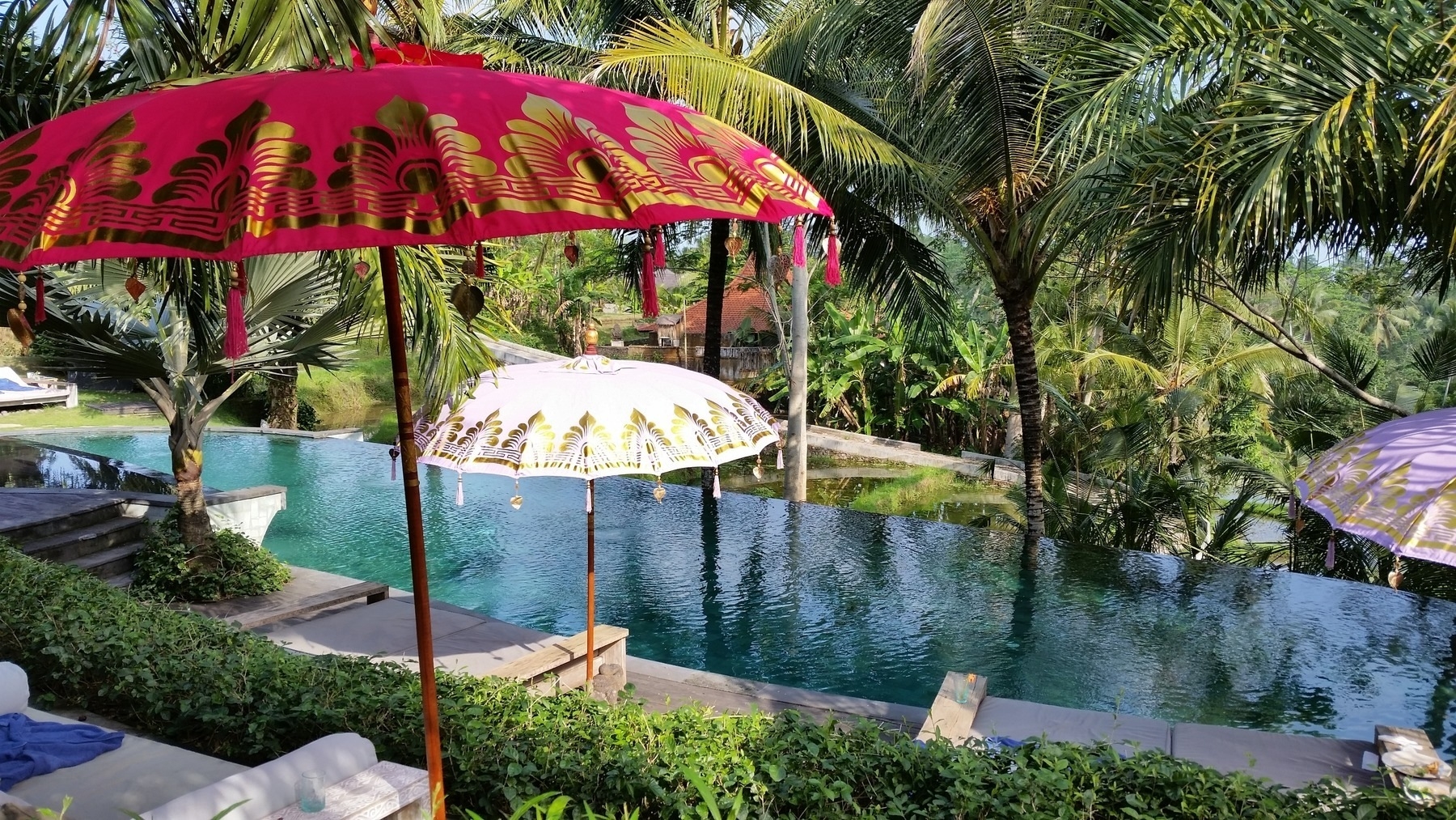 Blue Karma Ubud Pool 2