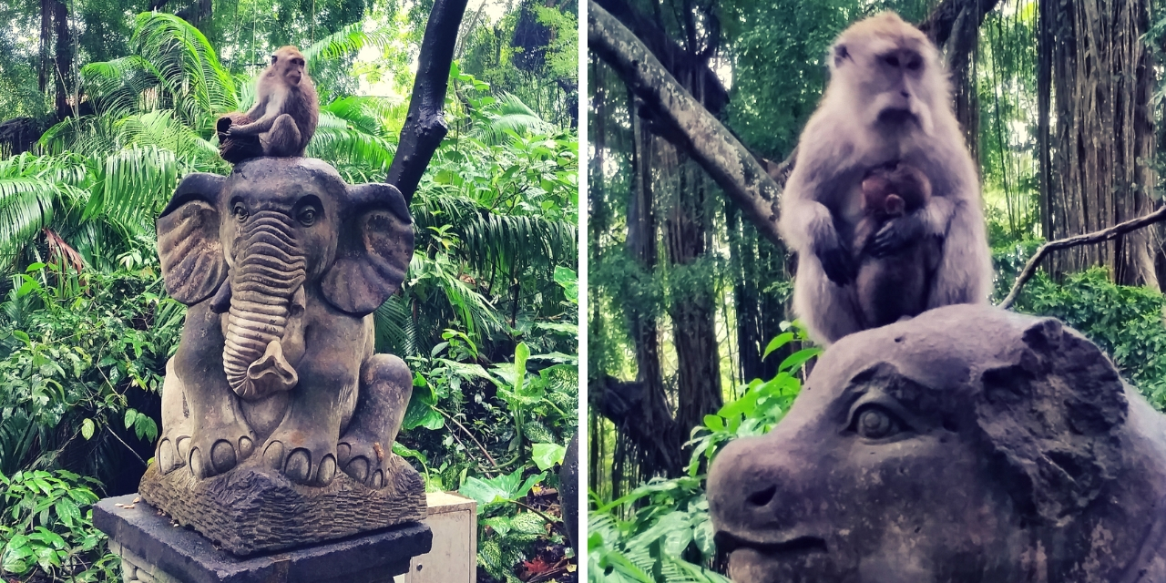 Monkey Forest Ubud