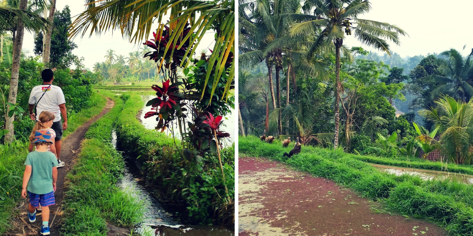 rsz ubud rice paddy walk