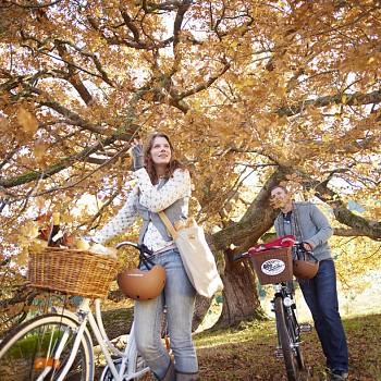 Cycle in Style - Beechworth to Bright